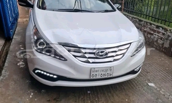 কেনা ব্যবহৃত Hyundai Sonata White গাড়ী মধ্যে বান্দরবান মধ্যে Bandarban
