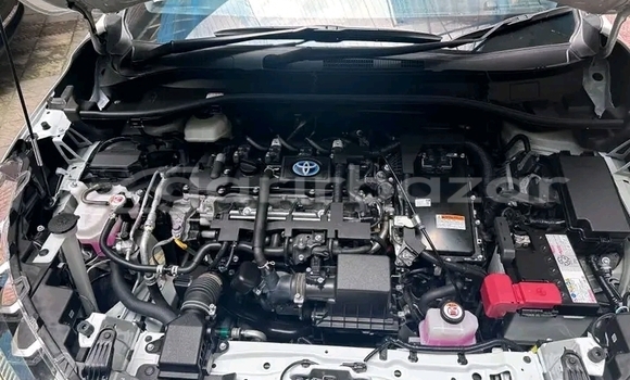 কেনা ব্যবহৃত Toyota Corolla White গাড়ী মধ্যে বান্দরবান মধ্যে Bandarban কেনা ব্যবহৃত Toyota Corolla White গাড়ী মধ্যে বান্দরবান মধ্যে Bandarban