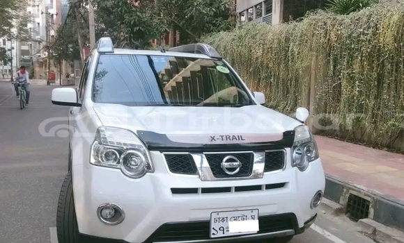 কেনা ব্যবহৃত Nissan X-Trail White গাড়ী মধ্যে ঢাকা মধ্যে Dhaka কেনা ব্যবহৃত Nissan X-Trail White গাড়ী মধ্যে ঢাকা মধ্যে Dhaka