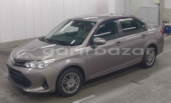 কেনা ব্যবহৃত Toyota axio Other গাড়ী মধ্যে ঢাকা মধ্যে Dhaka কেনা ব্যবহৃত Toyota axio Other গাড়ী মধ্যে ঢাকা মধ্যে Dhaka