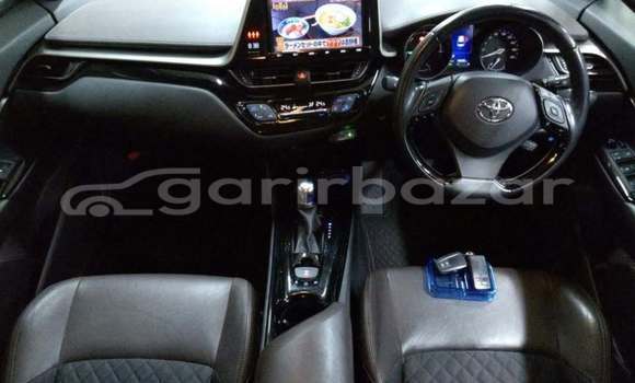 কেনা ব্যবহৃত Toyota C-hr Red গাড়ী মধ্যে ঢাকা মধ্যে Dhaka কেনা ব্যবহৃত Toyota C-hr Red গাড়ী মধ্যে ঢাকা মধ্যে Dhaka