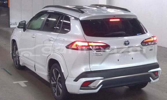 কেনা ব্যবহৃত Toyota Corolla White গাড়ী মধ্যে ঢাকা মধ্যে Dhaka কেনা ব্যবহৃত Toyota Corolla White গাড়ী মধ্যে ঢাকা মধ্যে Dhaka