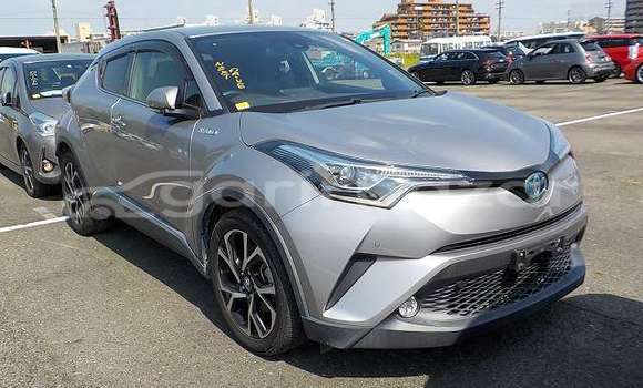 Buy Import 2018 Toyota CH-R in Dhaka, Dhaka