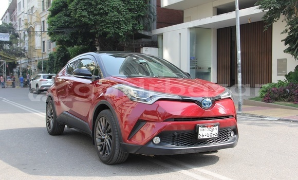 কেনা ব্যবহৃত Toyota CH-R Red wine গাড়ী মধ্যে ঢাকা মধ্যে Dhaka