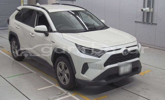 Buy Used 2019 Toyota RAV4 in Dhaka, Dhaka Buy Used 2019 Toyota RAV4 in Dhaka, Dhaka