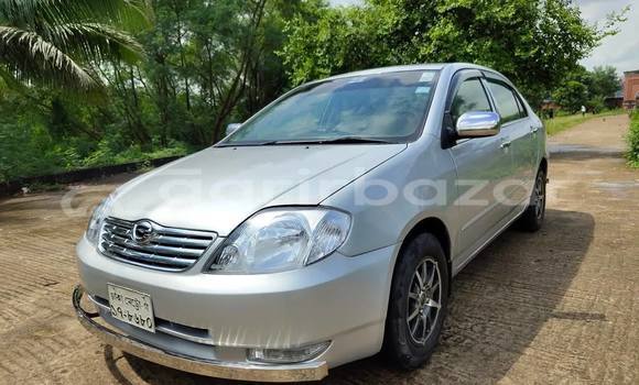 কেনা ব্যবহৃত Toyota corolla Other গাড়ী মধ্যে ঢাকা মধ্যে Dhaka কেনা ব্যবহৃত Toyota corolla Other গাড়ী মধ্যে ঢাকা মধ্যে Dhaka