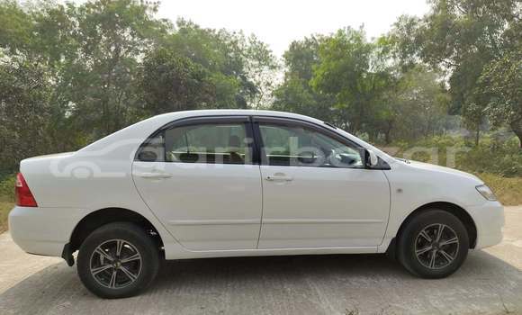 কেনা ব্যবহৃত Toyota corolla White গাড়ী মধ্যে ঢাকা মধ্যে Dhaka কেনা ব্যবহৃত Toyota corolla White গাড়ী মধ্যে ঢাকা মধ্যে Dhaka