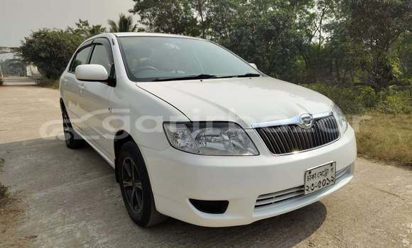 কেনা ব্যবহৃত Toyota corolla White গাড়ী মধ্যে ঢাকা মধ্যে Dhaka কেনা ব্যবহৃত Toyota corolla White গাড়ী মধ্যে ঢাকা মধ্যে Dhaka
