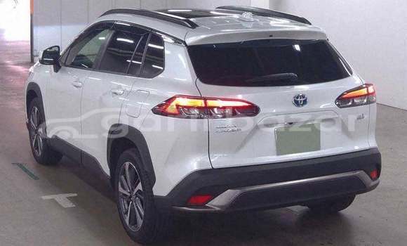 কেনা ব্যবহৃত Toyota Corolla White গাড়ী মধ্যে ঢাকা মধ্যে Dhaka কেনা ব্যবহৃত Toyota Corolla White গাড়ী মধ্যে ঢাকা মধ্যে Dhaka