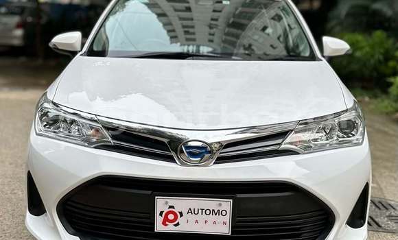 কেনা ব্যবহৃত Toyota axio fielder White গাড়ী মধ্যে ঢাকা মধ্যে Dhaka কেনা ব্যবহৃত Toyota axio fielder White গাড়ী মধ্যে ঢাকা মধ্যে Dhaka