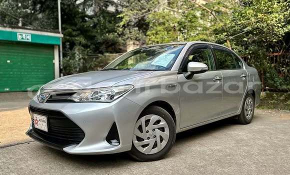 কেনা ব্যবহৃত Toyota axio Other গাড়ী মধ্যে ঢাকা মধ্যে Dhaka কেনা ব্যবহৃত Toyota axio Other গাড়ী মধ্যে ঢাকা মধ্যে Dhaka