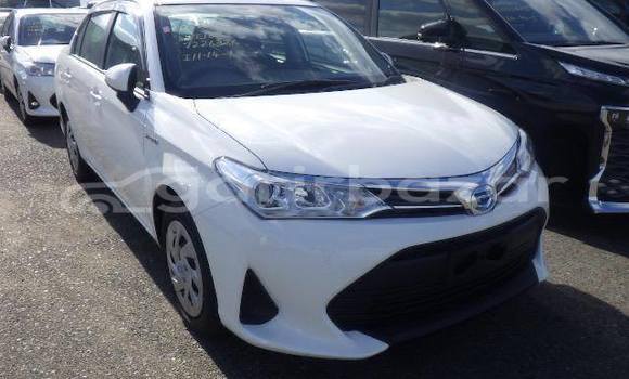 কেনা ব্যবহৃত Toyota Axio White গাড়ী মধ্যে ঢাকা মধ্যে Dhaka কেনা ব্যবহৃত Toyota Axio White গাড়ী মধ্যে ঢাকা মধ্যে Dhaka