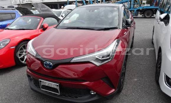 কেনা ব্যবহৃত Toyota CHR Red গাড়ী মধ্যে ঢাকা মধ্যে Dhaka কেনা ব্যবহৃত Toyota CHR Red গাড়ী মধ্যে ঢাকা মধ্যে Dhaka