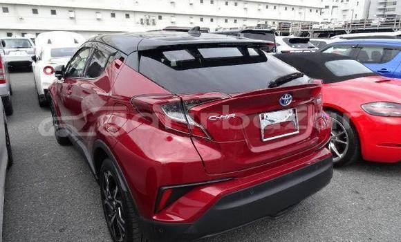 কেনা ব্যবহৃত Toyota CHR Red গাড়ী মধ্যে ঢাকা মধ্যে Dhaka কেনা ব্যবহৃত Toyota CHR Red গাড়ী মধ্যে ঢাকা মধ্যে Dhaka