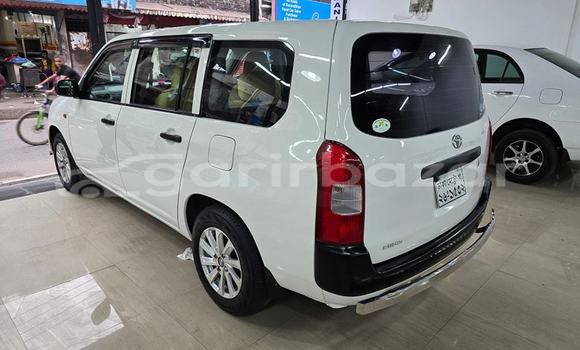 কেনা ব্যবহৃত Toyota Probox White গাড়ী মধ্যে ঢাকা মধ্যে Dhaka কেনা ব্যবহৃত Toyota Probox White গাড়ী মধ্যে ঢাকা মধ্যে Dhaka