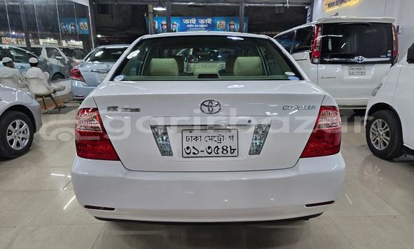 কেনা ব্যবহৃত Toyota Corolla White গাড়ী মধ্যে ঢাকা মধ্যে Dhaka কেনা ব্যবহৃত Toyota Corolla White গাড়ী মধ্যে ঢাকা মধ্যে Dhaka