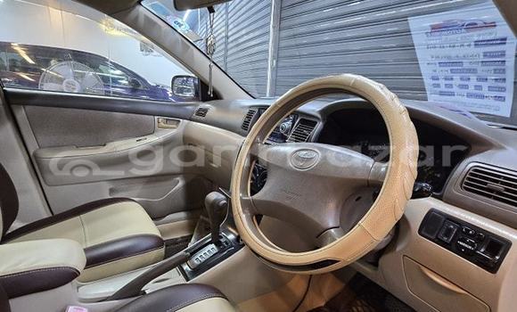 Buy Used 2003 Toyota Axio fielder in Dhaka, Dhaka Buy Used 2003 Toyota Axio fielder in Dhaka, Dhaka