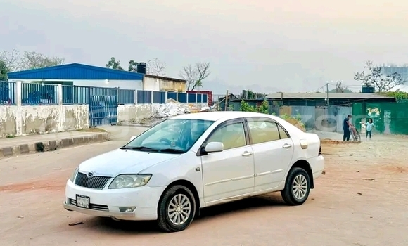 Buy Used Toyota Corolla cross . 2021 in Bajitpur, Kishorganj Buy Used Toyota Corolla cross . 2021 in Bajitpur, Kishorganj