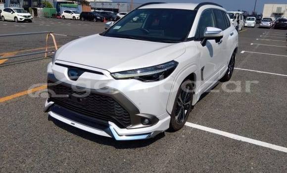 Cars for Sale in Bangladesh - Garirbazar