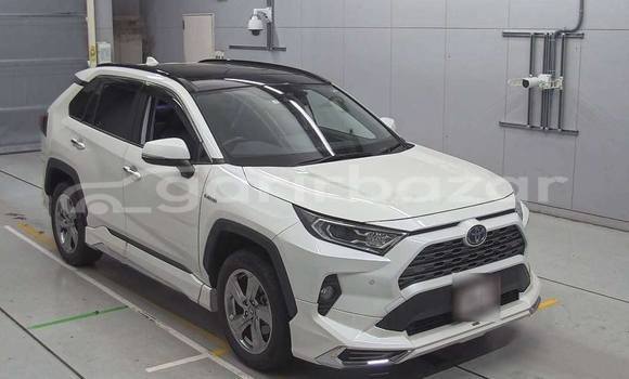 কেনা ব্যবহৃত Toyota RAV4 White গাড়ী মধ্যে ঢাকা মধ্যে Dhaka কেনা ব্যবহৃত Toyota RAV4 White গাড়ী মধ্যে ঢাকা মধ্যে Dhaka