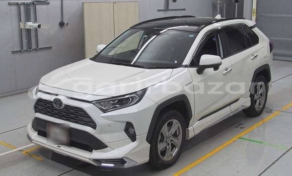 কেনা ব্যবহৃত Toyota RAV4 White গাড়ী মধ্যে ঢাকা মধ্যে Dhaka কেনা ব্যবহৃত Toyota RAV4 White গাড়ী মধ্যে ঢাকা মধ্যে Dhaka