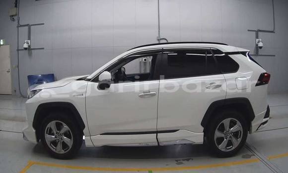 কেনা ব্যবহৃত Toyota RAV4 White গাড়ী মধ্যে ঢাকা মধ্যে Dhaka কেনা ব্যবহৃত Toyota RAV4 White গাড়ী মধ্যে ঢাকা মধ্যে Dhaka