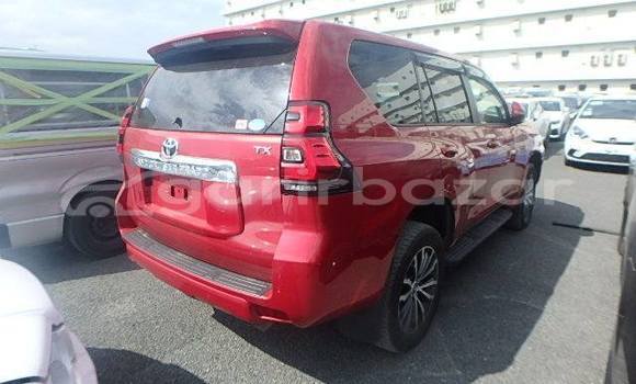 কেনা ব্যবহৃত Toyota Land cruiser-prado Red গাড়ী মধ্যে ঢাকা মধ্যে Dhaka কেনা ব্যবহৃত Toyota Land cruiser-prado Red গাড়ী মধ্যে ঢাকা মধ্যে Dhaka