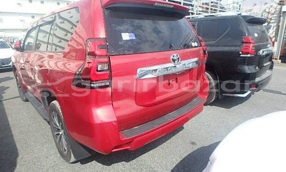 কেনা ব্যবহৃত Toyota Land cruiser-prado Red গাড়ী মধ্যে ঢাকা মধ্যে Dhaka কেনা ব্যবহৃত Toyota Land cruiser-prado Red গাড়ী মধ্যে ঢাকা মধ্যে Dhaka