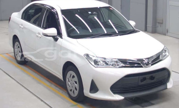 কেনা ব্যবহৃত Toyota Axio White গাড়ী মধ্যে ঢাকা মধ্যে Dhaka কেনা ব্যবহৃত Toyota Axio White গাড়ী মধ্যে ঢাকা মধ্যে Dhaka