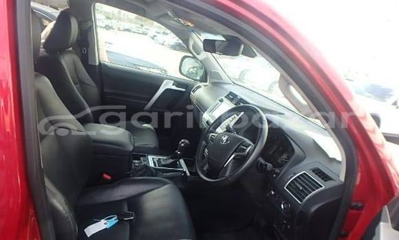 কেনা ব্যবহৃত Toyota Land Cruiser Prado Red গাড়ী মধ্যে ঢাকা মধ্যে Dhaka কেনা ব্যবহৃত Toyota Land Cruiser Prado Red গাড়ী মধ্যে ঢাকা মধ্যে Dhaka