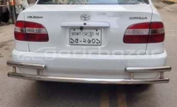 Buy Used 1997 Toyota corolla in Dhaka, Dhaka Buy Used 1997 Toyota corolla in Dhaka, Dhaka