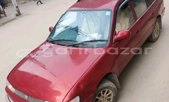 Buy Used Toyota 100 corsa in Bajitpur, Kishorganj Buy Used Toyota 100 corsa in Bajitpur, Kishorganj