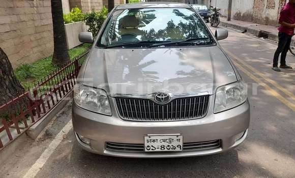 Buy Used 2005 Toyota X corolla in Dhaka, Dhaka Buy Used 2005 Toyota X corolla in Dhaka, Dhaka