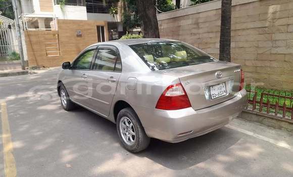 Buy Used 2005 Toyota X corolla in Dhaka, Dhaka Buy Used 2005 Toyota X corolla in Dhaka, Dhaka