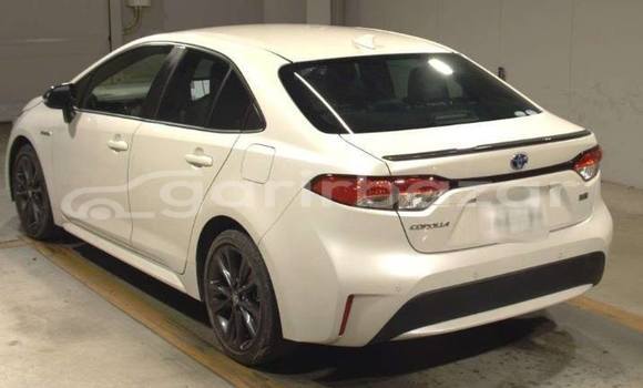 Buy Used 2020 Toyota Corolla in Dhaka, Dhaka Buy Used 2020 Toyota Corolla in Dhaka, Dhaka