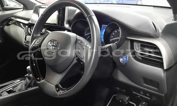 Buy Used 2019 Toyota C-HR in Dhaka, Dhaka Buy Used 2019 Toyota C-HR in Dhaka, Dhaka