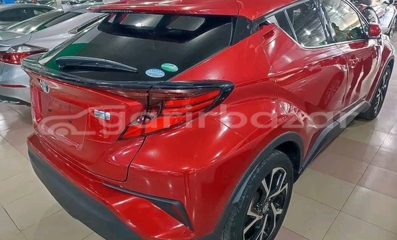 Buy Used Toyota C-hr g led pk 2019 in Bajitpur, Kishorganj Buy Used Toyota C-hr g led pk 2019 in Bajitpur, Kishorganj
