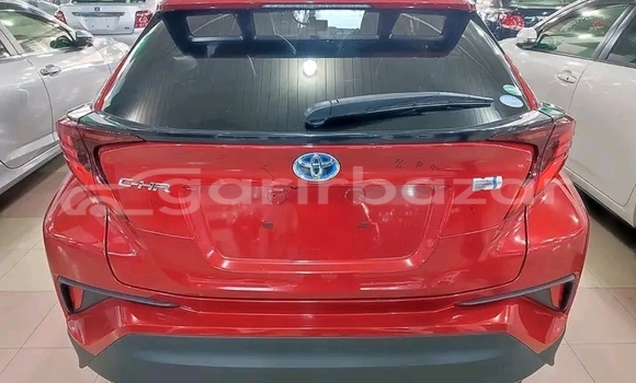 Buy Used Toyota C-hr g led pk 2019 in Bajitpur, Kishorganj Buy Used Toyota C-hr g led pk 2019 in Bajitpur, Kishorganj