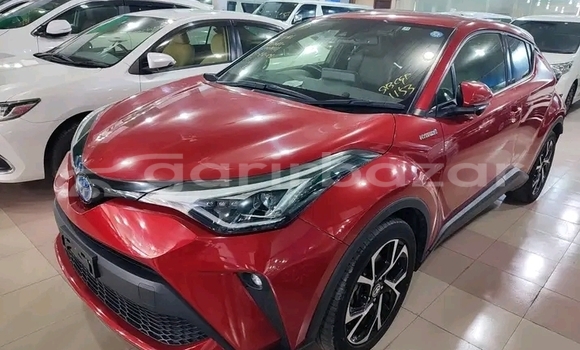 Buy Used Toyota C-hr g led pk 2019 in Bajitpur, Kishorganj Buy Used Toyota C-hr g led pk 2019 in Bajitpur, Kishorganj