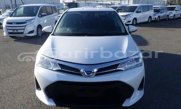 Buy Used Toyota Fielder non hybrid octane 2019 in Bajitpur, Kishorganj Buy Used Toyota Fielder non hybrid octane 2019 in Bajitpur, Kishorganj