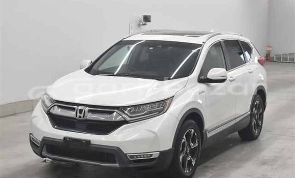 Buy Used 2019 Honda CR-V in Dhaka, Dhaka Buy Used 2019 Honda CR-V in Dhaka, Dhaka