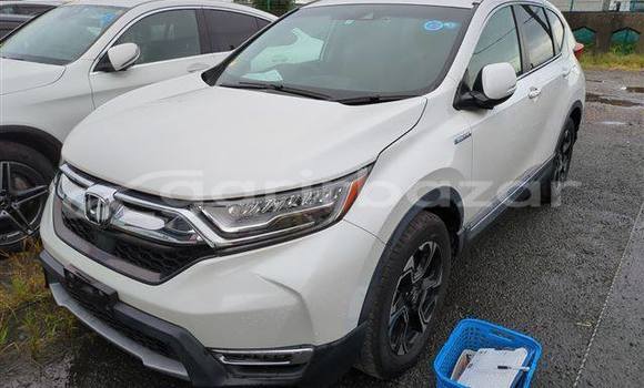 Buy Used 2019 Honda CR-V in Dhaka, Dhaka Buy Used 2019 Honda CR-V in Dhaka, Dhaka