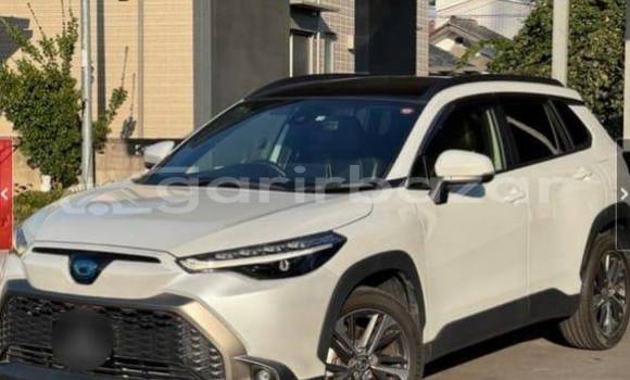 কেনা ব্যবহৃত Toyota Corolla Other গাড়ী মধ্যে ঢাকা মধ্যে Dhaka কেনা ব্যবহৃত Toyota Corolla Other গাড়ী মধ্যে ঢাকা মধ্যে Dhaka