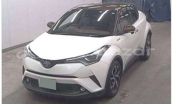 কেনা ব্যবহৃত Toyota Ch-r Other গাড়ী মধ্যে ঢাকা মধ্যে Dhaka কেনা ব্যবহৃত Toyota Ch-r Other গাড়ী মধ্যে ঢাকা মধ্যে Dhaka