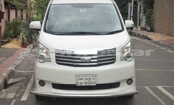 কেনা ব্যবহৃত Toyota Noah White গাড়ী মধ্যে ঢাকা মধ্যে Dhaka কেনা ব্যবহৃত Toyota Noah White গাড়ী মধ্যে ঢাকা মধ্যে Dhaka