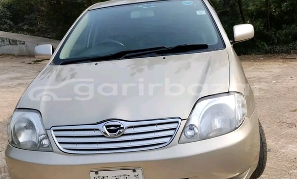 Buy Used Toyota Fielder wxb non hybrid 4.5 2019 in Bajitpur, Kishorganj Buy Used Toyota Fielder wxb non hybrid 4.5 2019 in Bajitpur, Kishorganj