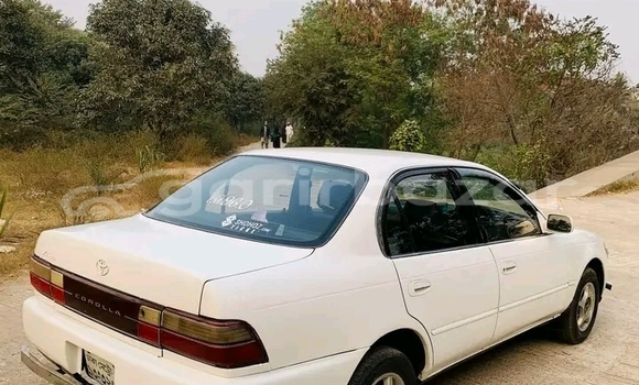 Buy Used Toyota Corolla biskit 2001 in Bajitpur, Kishorganj