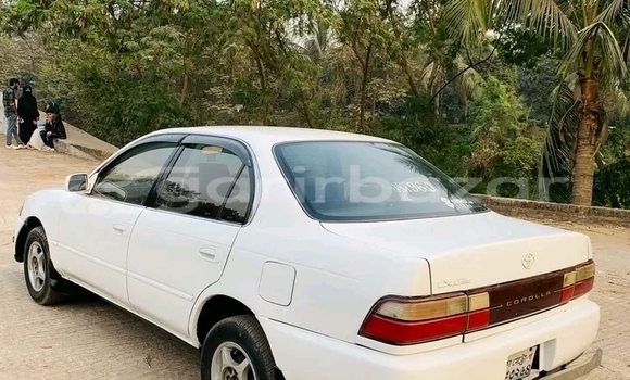Buy Used Toyota Corolla biskit 2001 in Bajitpur, Kishorganj Buy Used Toyota Corolla biskit 2001 in Bajitpur, Kishorganj