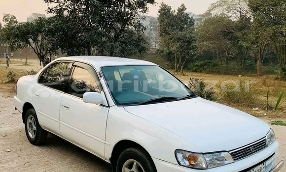 Buy Used Toyota Corolla biskit 2001 in Bajitpur, Kishorganj Buy Used Toyota Corolla biskit 2001 in Bajitpur, Kishorganj