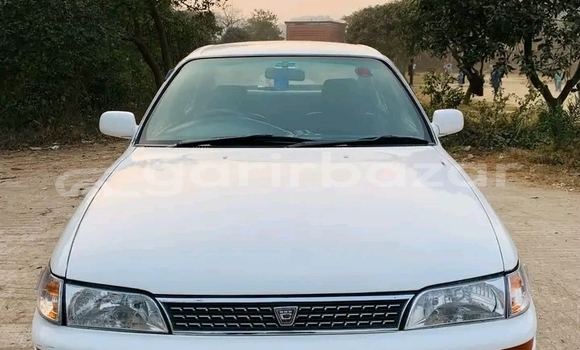 Buy Used Toyota Corolla biskit 2001 in Bajitpur, Kishorganj Buy Used Toyota Corolla biskit 2001 in Bajitpur, Kishorganj